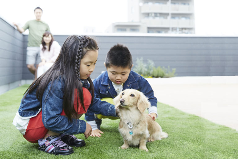 怖がりな愛犬も、他の犬のいない屋上ならマイペースで走り回る。